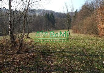 Typ: Poľnohospodárske a lesné pozemky Obec: Lysica
075-14-PE