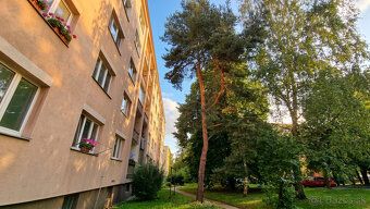 EXKLUZÍVNE! PREČO PRÁVE TENTO BYT? 55,40 m² presvetleného pr