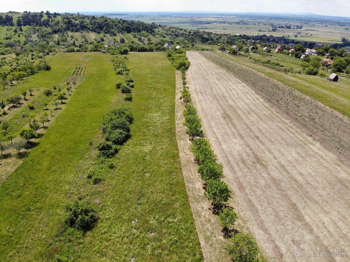Ponúkame na predaj slnečný pozemok s rozlohou 2928 m², situo
