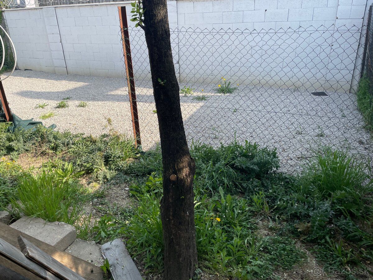 Odstupenie zahrady 400m2 rocne sa plati 100 e zahradkarskemu