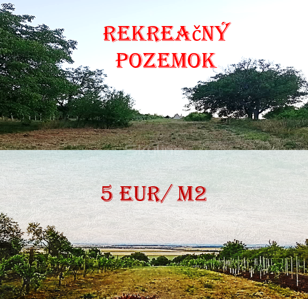Typ: Rekreačné pozemky Ulica: Čaka Obec: Čaka
Potrebujete si