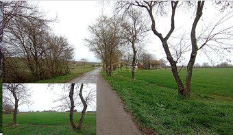 Typ: Pozemok na rekreáciu Ulica: Farná Obec: Farná
Skyline r