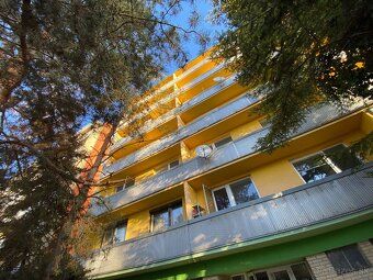 Номер 9881 1,5-кімнатна квартира в оренду | велика лоджія | П'єштяни