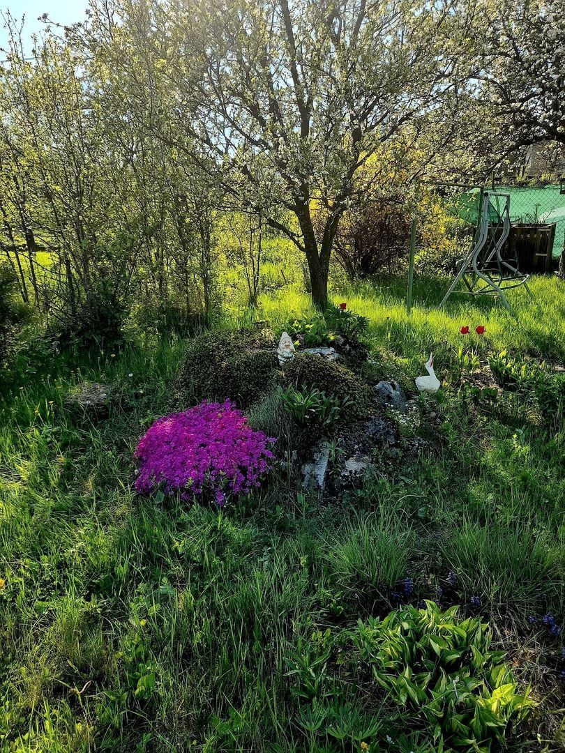 Záhrada s možnosťou výstavby priamo v meste Poprad
Na predaj