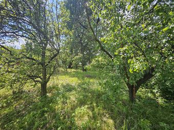 Ponúkam na predaj rekreačnú záhradu o výmere 299 m² v obľúbe