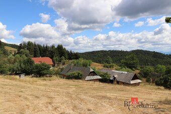 Kvetoslava Grätzer - I offer you through Broker Consulting company an exclusive unique and…