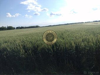 Pozemky v Poľnom Kesove Broker Consulting, a.s. vám exkluzív