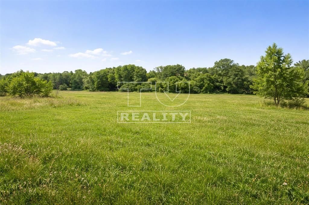 Tureality offers for sale land that has practical shape 
