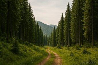 Продається унікальний набір земельних ділянок у селі Великі Карловиці