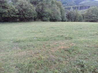 Oferujemy na sprzedaż działkę o powierzchni 15 542 m² w