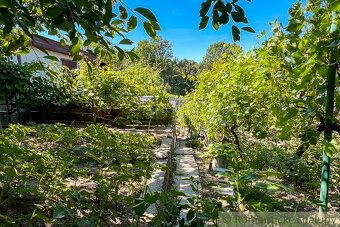 We offer for sale a carefully maintained garden cottage with beautiful garden, ideal for those…