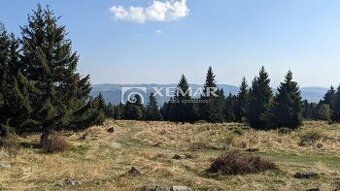XEMAR ( alebo 0915 142 544 ) exkluzívne ponúka na predaj rek