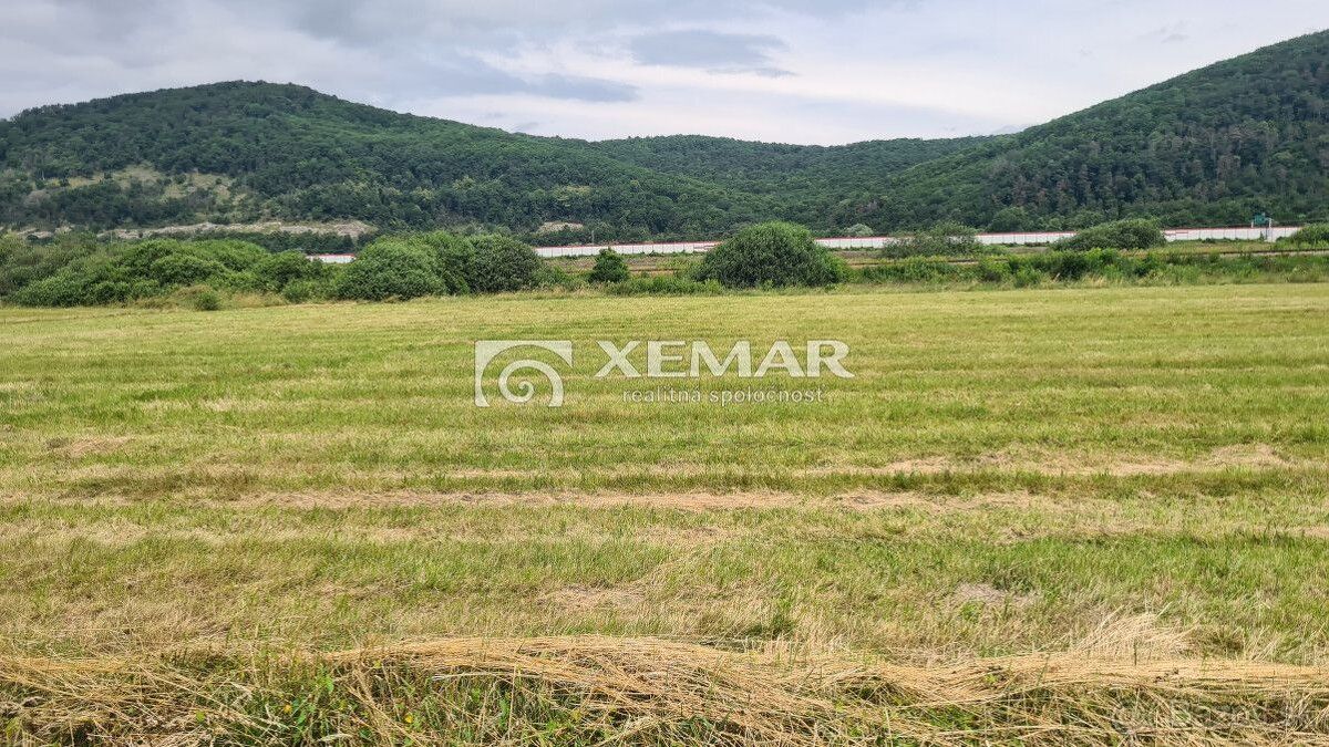 XEMAR ( alebo 0915 142 544 ) exkluzívne ponúka na predaj sta