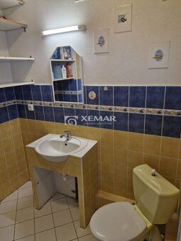 XEMAR ( alebo 0915 142 544 ) exkluzívne ponúka na prenájom a