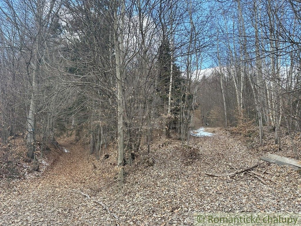 For sale 3 ha forest land in one piece. The forest is located in the recreational area of Kokava-Línia.