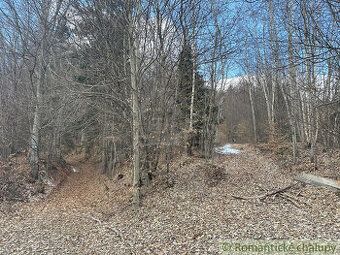 For sale 3 ha forest land in one piece. The forest is located in the recreational area of Kokava-Línia.