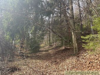 For sale 3 ha forest land in one piece. The forest is located in the recreational area of Kokava-Línia.