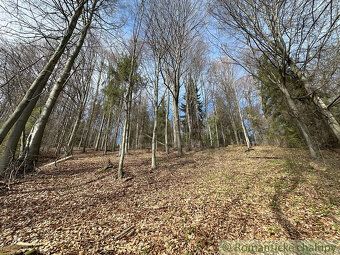 For sale 3 ha forest land in one piece. The forest is located in the recreational area of Kokava-Línia.