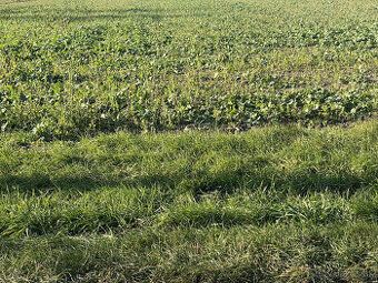 We offer an attractive building plot for sale measuring 949