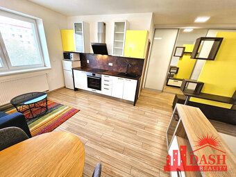 DASH Reality offers for rent a nice, sunny 1 room apartment in Ilava