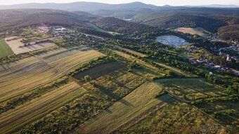 Investment Opportunity - Spacious land offering space for