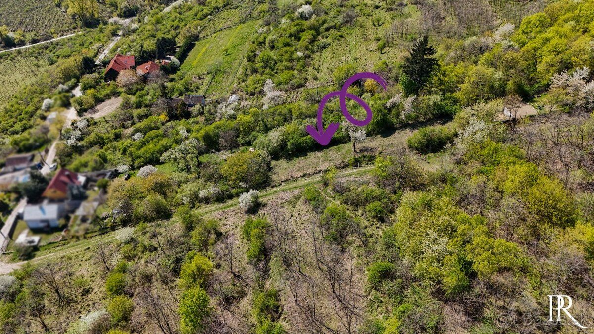 Realitná spoločnosť PRIUS Vám prináša jedinečnú príležitosť 
