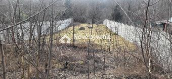 Typ: Záhrady Obec: Bratislava-Devínska Nová Ves
N098-14-EMJU