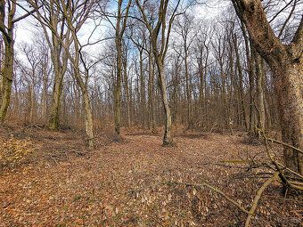 Land in the heart of nature, Košice – Sever (direction