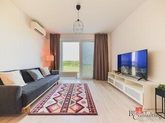 Hladam do prenajmu 3/4i byt v Petrzalke do 850eur (Benadicka