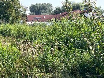 Продам земельну ділянку в частці 1/1, у к.у.: Стрáньяни, на ЛВ 6907, 