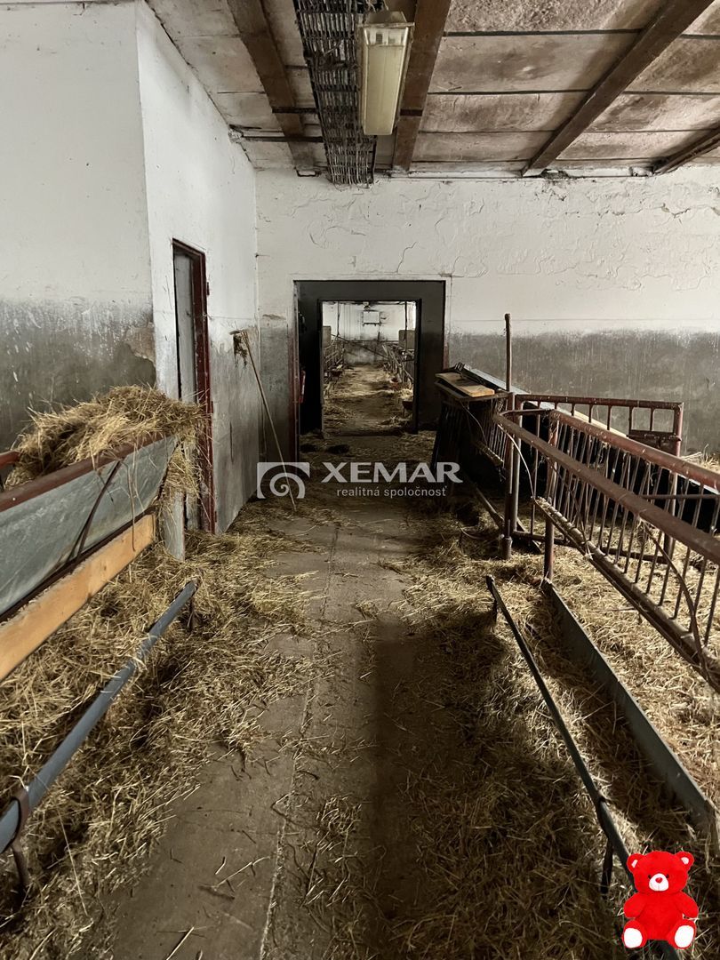 XEMAR | | 0948 385 289 |, ponúka NA PRENÁJOM družstevnú halu