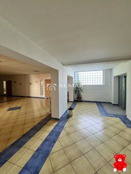 XEMAR | 0948 385 289 | offers FOR RENT hall in Banska