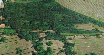 Działka znajduje się w naturalnym, cichym otoczeniu, poza