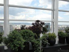 Ponúkam na predaj PENTHOUSE s úžasným výhľadom na Bratislavu