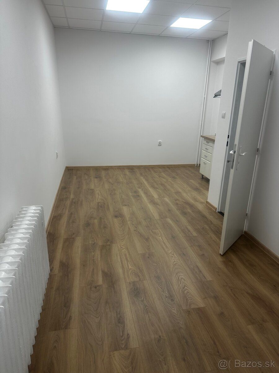 Ponúkame na prenájom priestory na služby a pivnicu pri pries