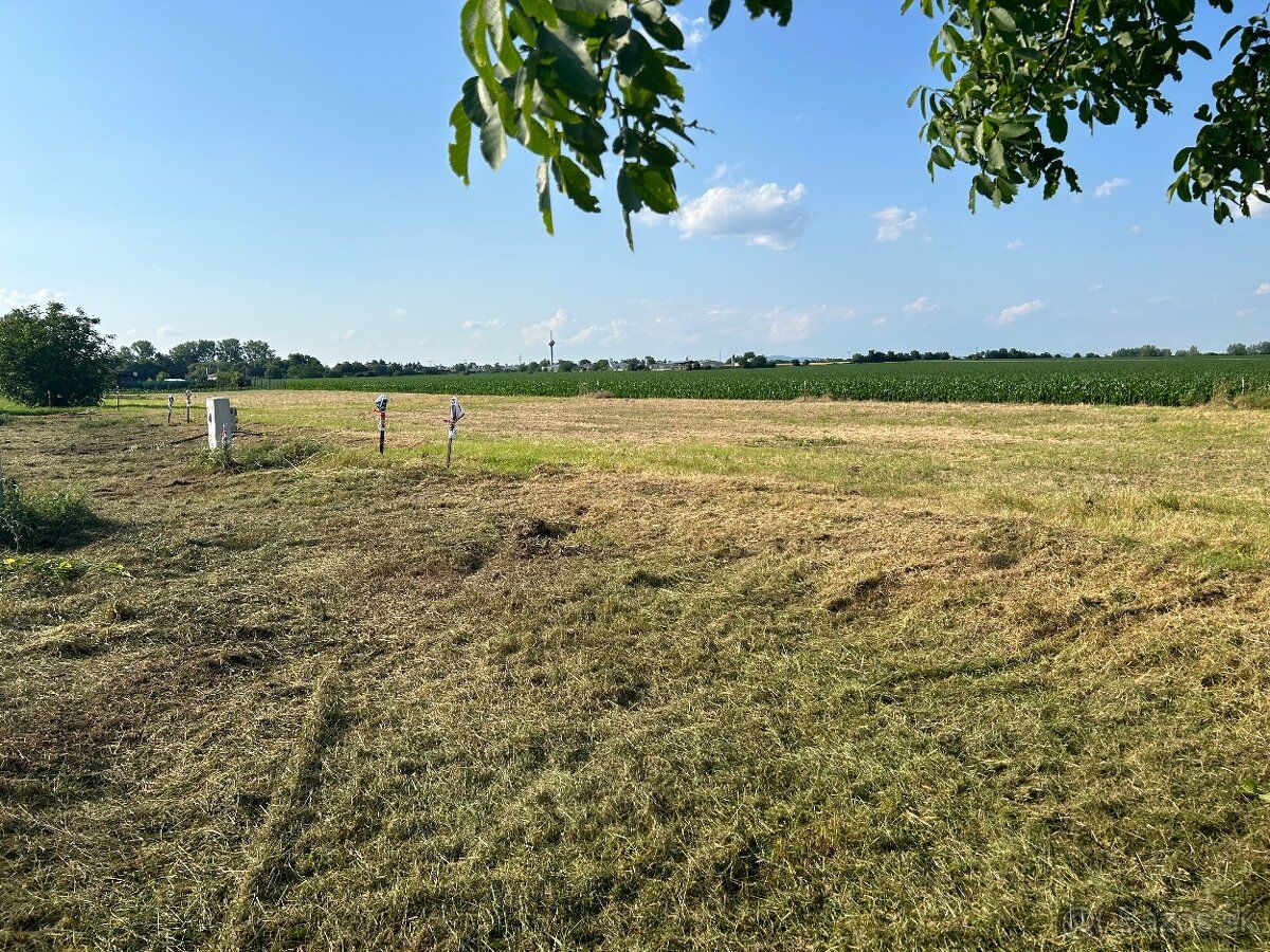 Dám do prenájmu 22 árový pozemok- záhradu v obci Štefanovičo