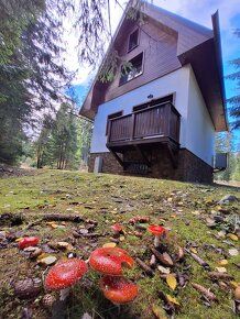 In an attractive location of Podbanské on the border between the High and West Tatras, we…