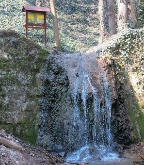 We offer for sale a beautiful orchard of 3006 m2 in the picturesque area of Bošáca - Bošácke…