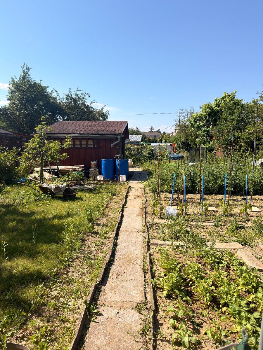 Продам сад в Новій Дубниці біля збиральної дворища, навпроти міського поліцейського відділення.