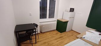 For rent bright 1-bedroom apartment adjacent to large terrace with