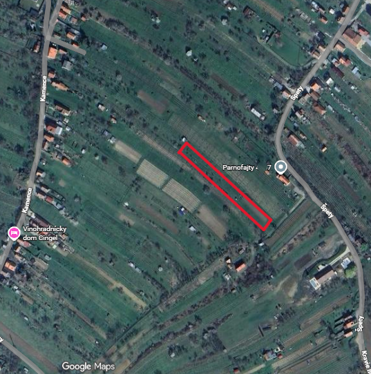 Vinohrad v Skalici s možnosťou výstavby - lokalita Kamence N