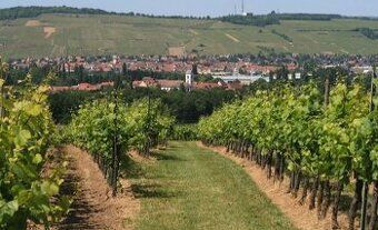 🏡 Na predaj: Slnečná záhradná chatka s ovocným sadom a výhľa