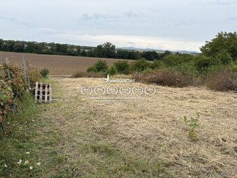 🏡 Na predaj: Slnečná záhradná chatka s ovocným sadom a výhľa