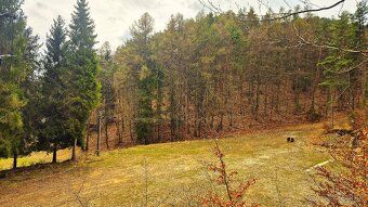 Ponúkame na predaj veľký pozemok cca 11900m2  na okraji obce
