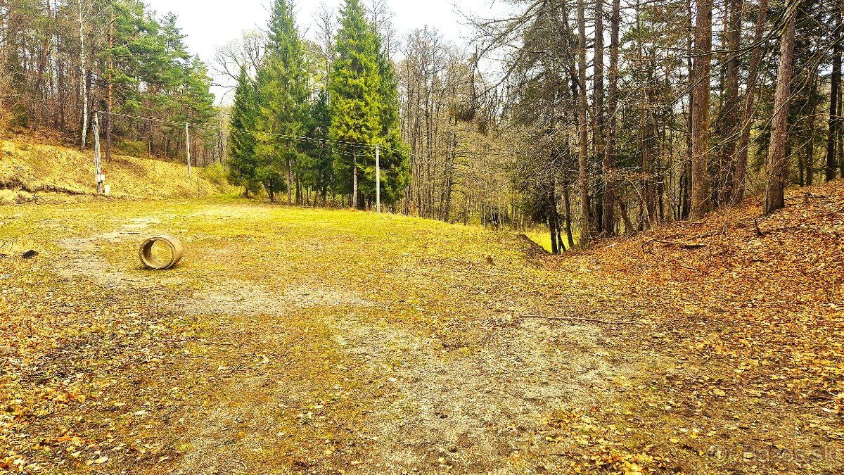 Ponúkame na predaj pozemok cca 8000m2  na okraji obce Lipovc