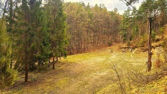 Ponúkame na predaj pozemok cca 8000m2  na okraji obce Lipovc