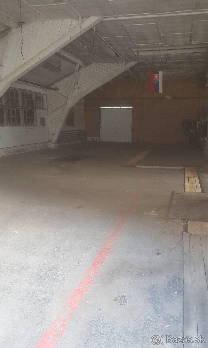 Dam do prenajmu halu a pozemok . Hala cca 500m2(100m2,250m,3