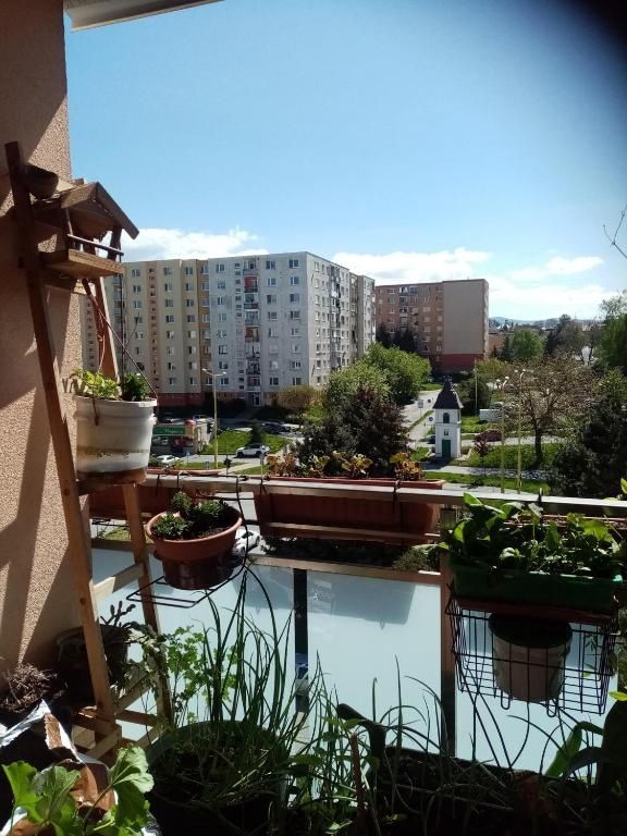 Ponúkam na prenájom kompletne zariadený 2-izbový byt s výťah