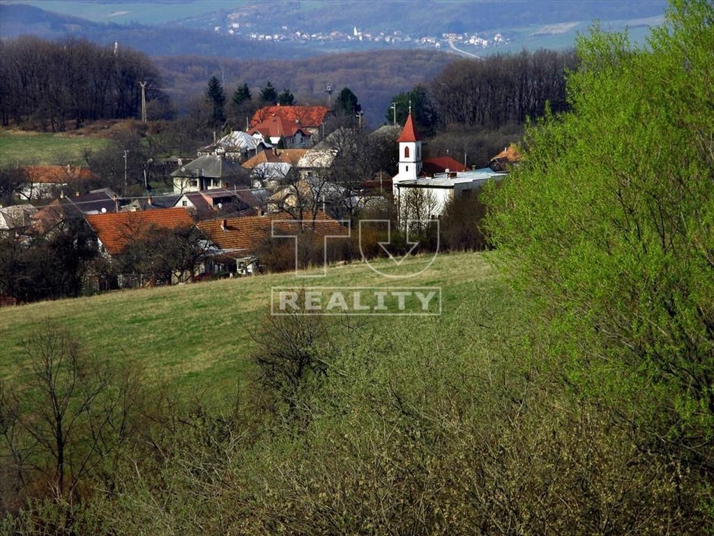 Na sprzedaż działka z drzewami owocowymi w cichym miejscu – Sl