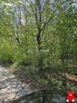 XEMAR ( alebo 0915 870 350) ponúka na predaj atraktívny inve